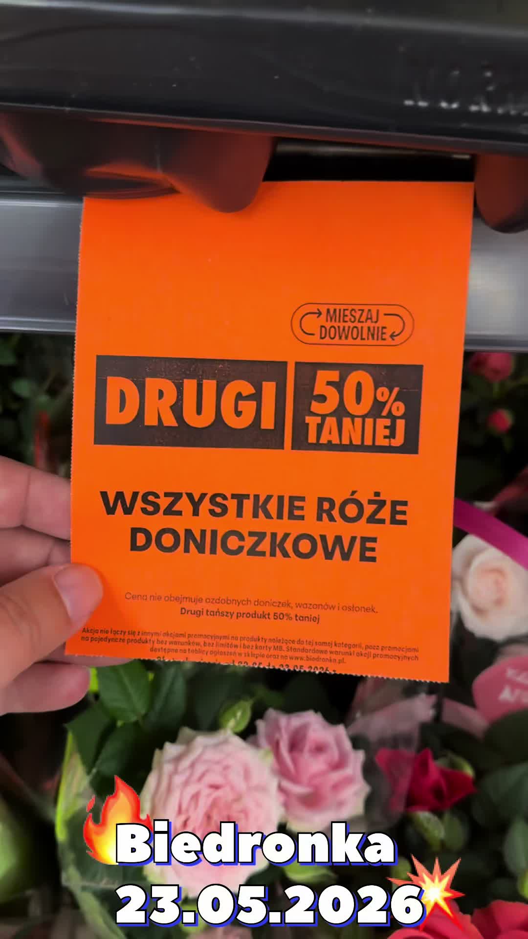 @maciej.plants