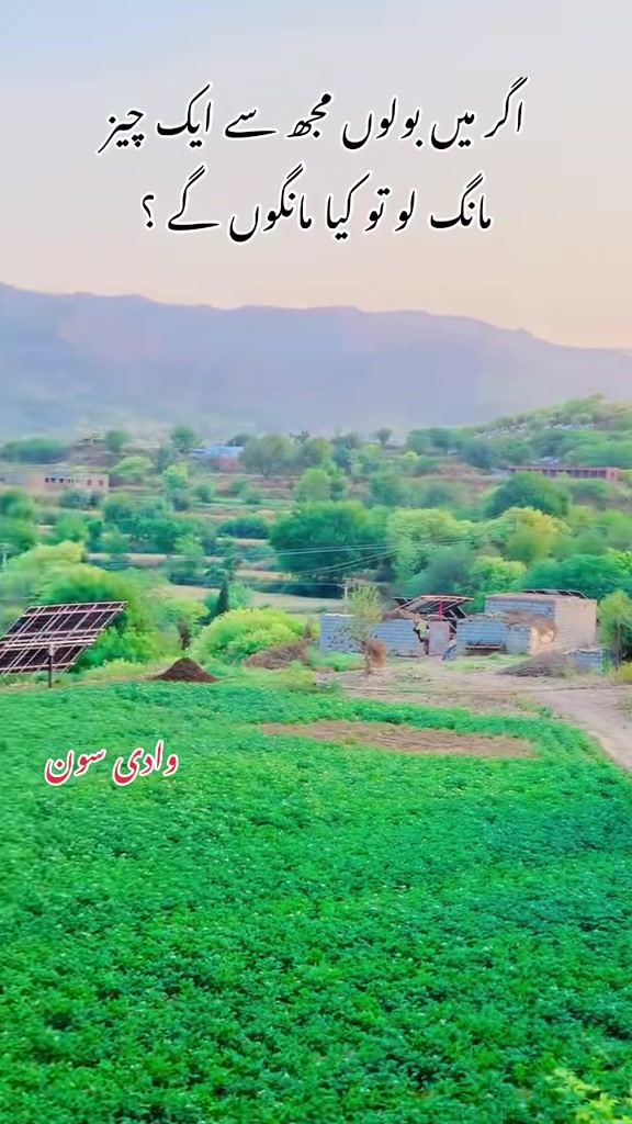 @محترمہ 🍁