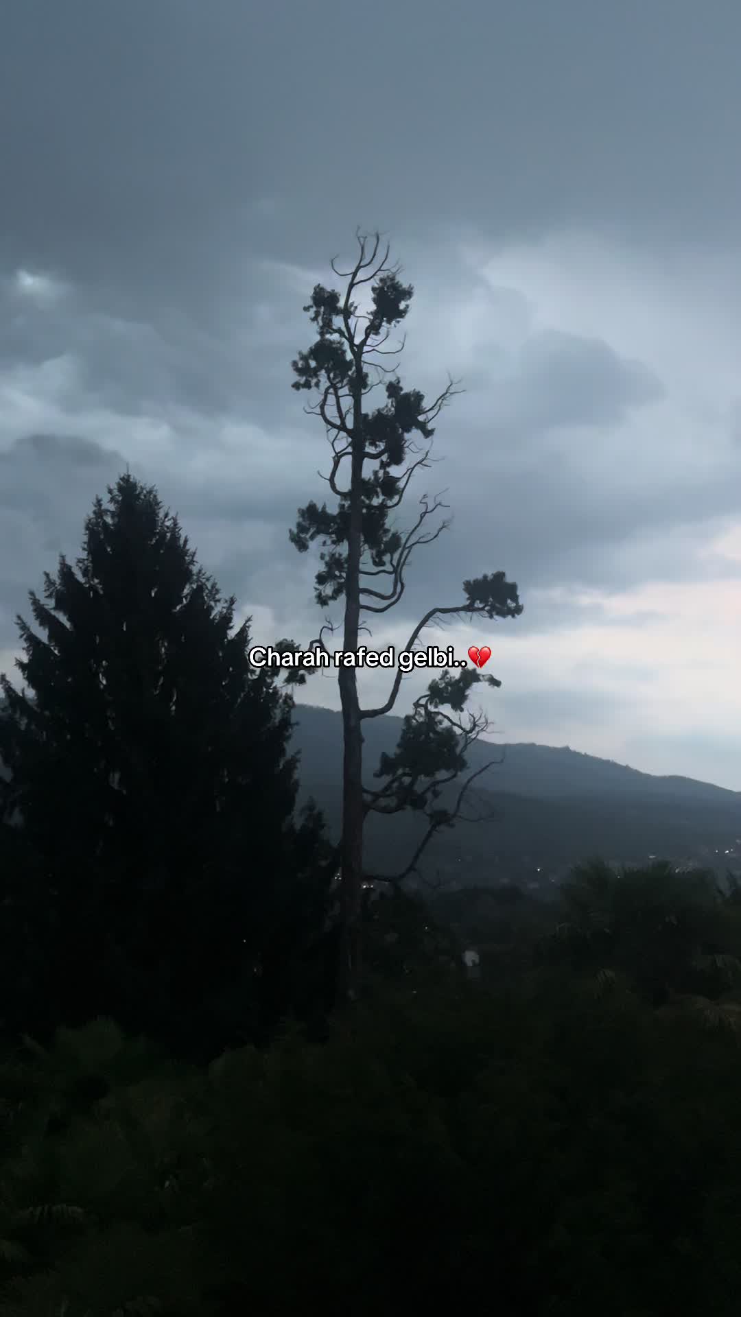 @𝒋𝒊𝒎𝒎𝒚