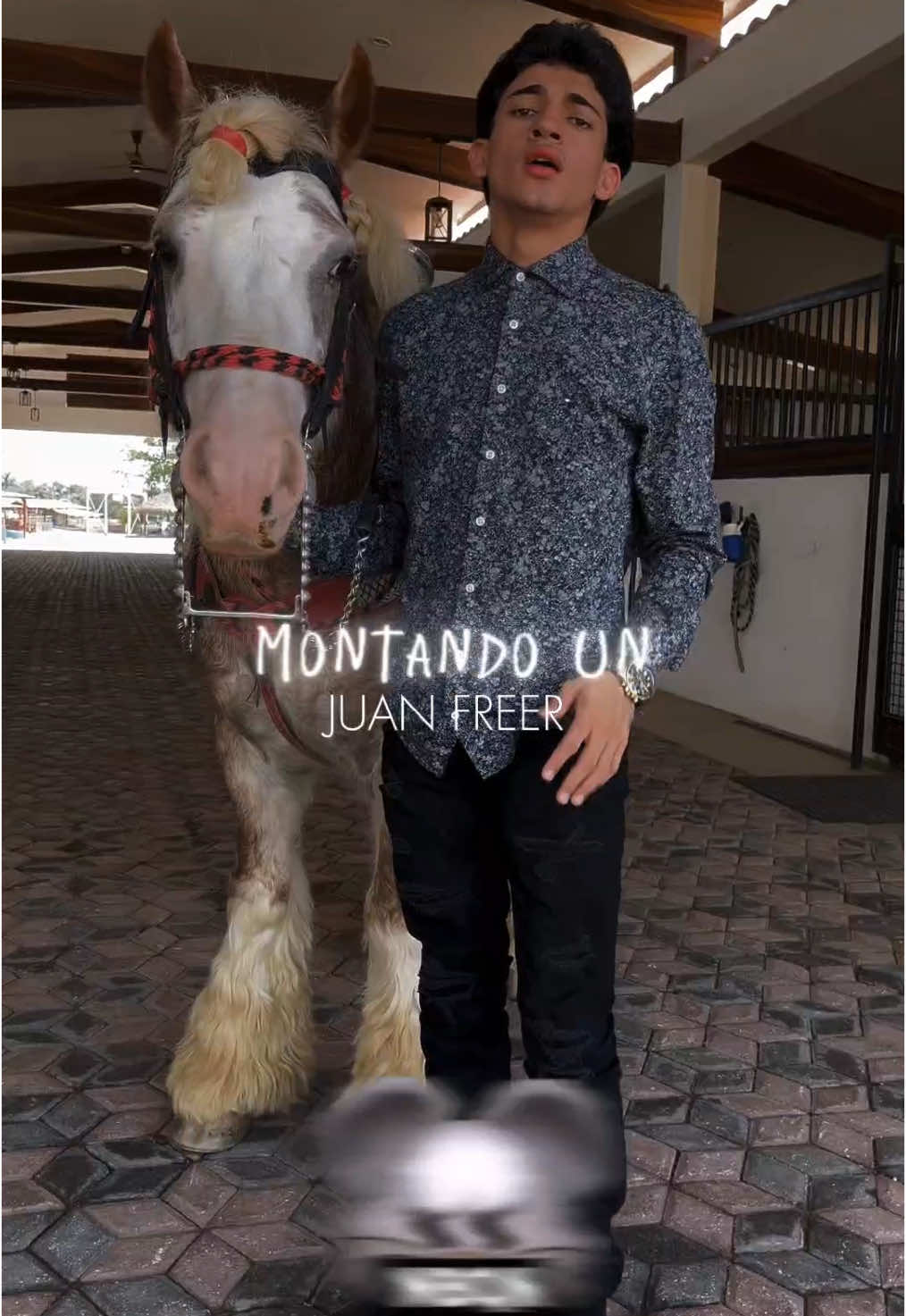 @Juan Freer