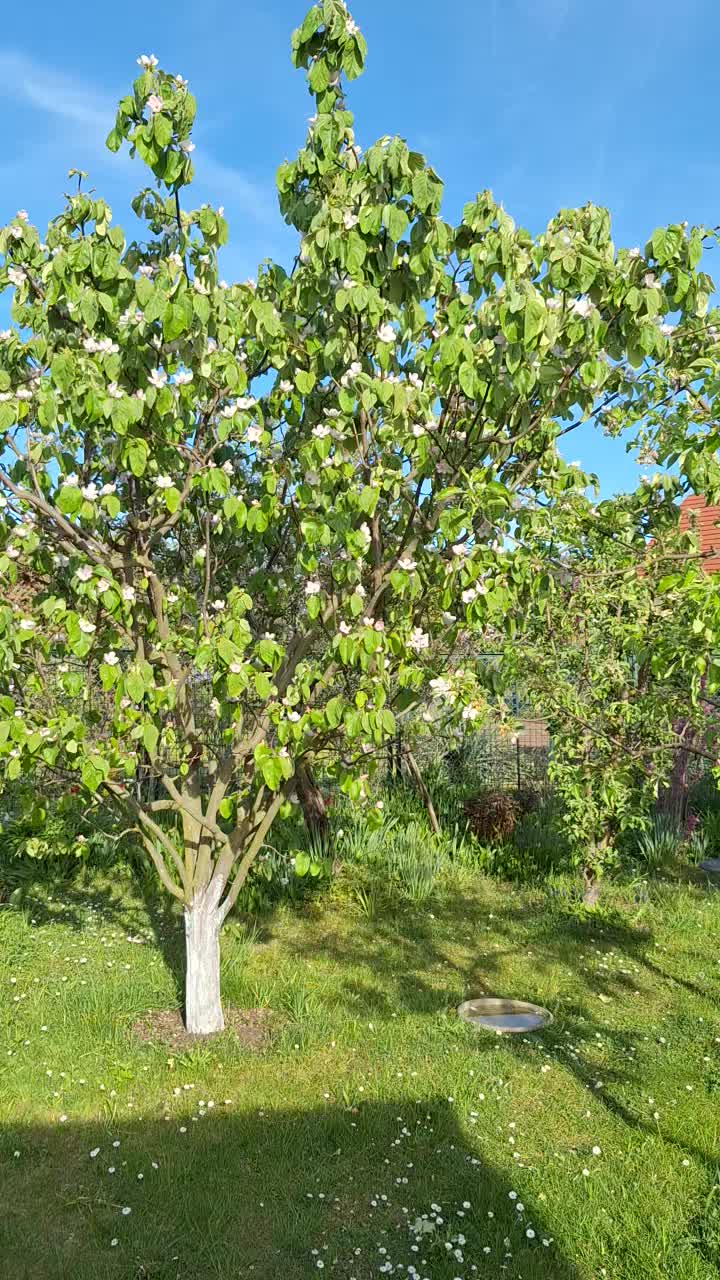 @Natur und Garten