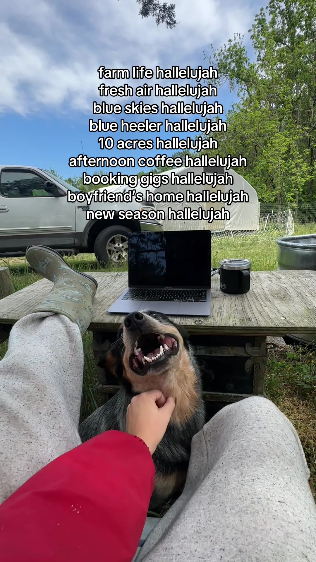 @farmerandtheharpiist
