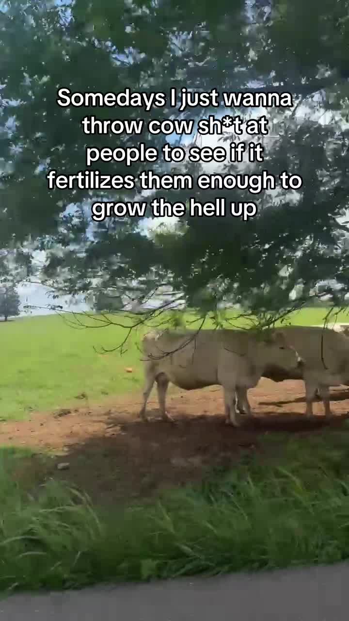 @blessmamaof3