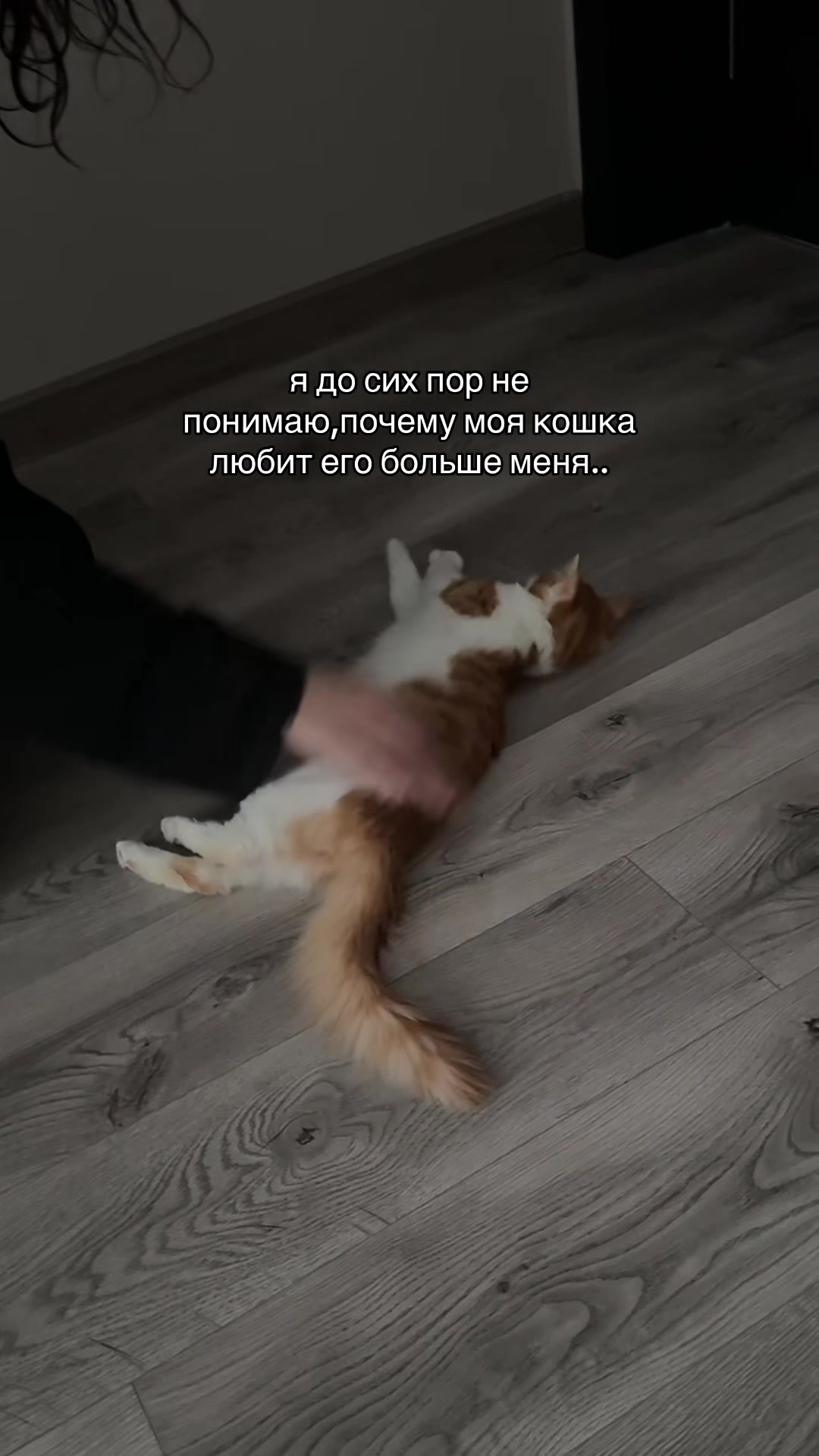 @&bull;janjakk&bull;
