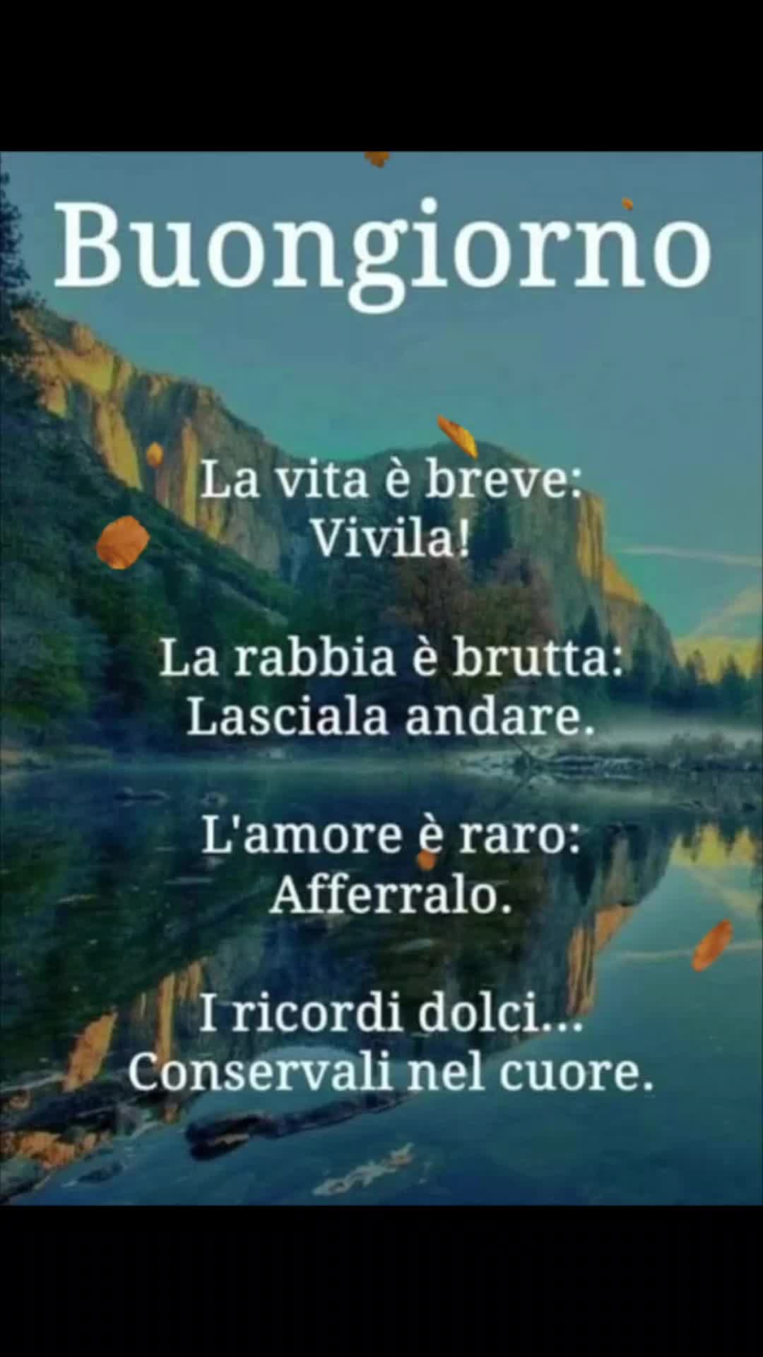 @alessandramarchi726