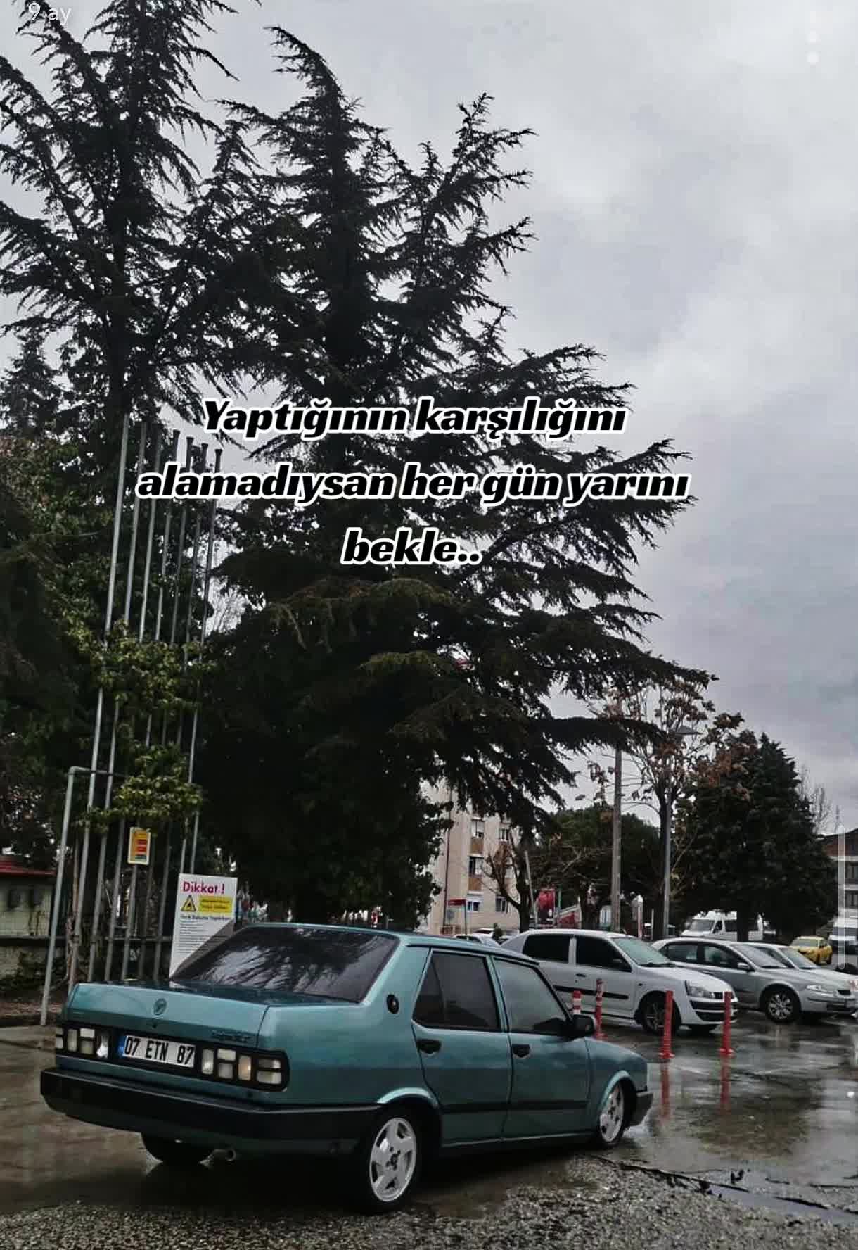 @Musa Günel