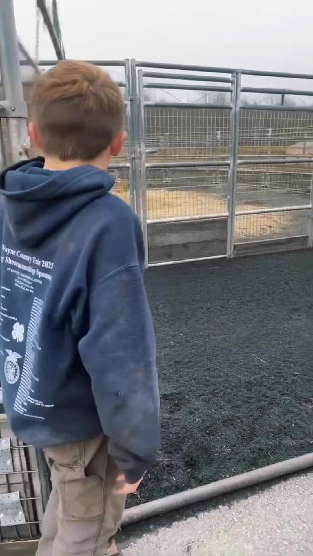 @volkswagen.elli