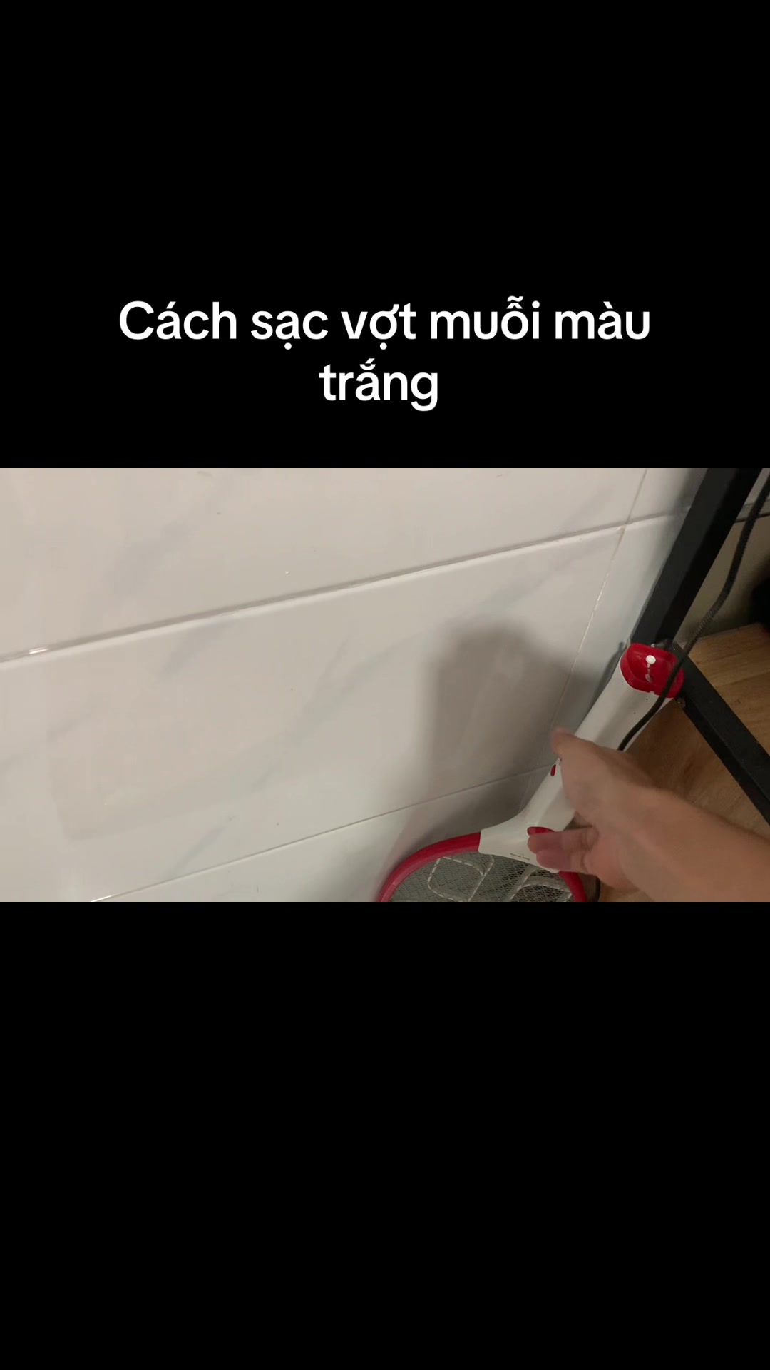 @Mèo thông thái