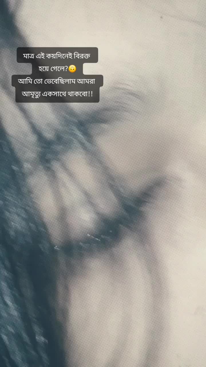 @️পাখি...!🕊