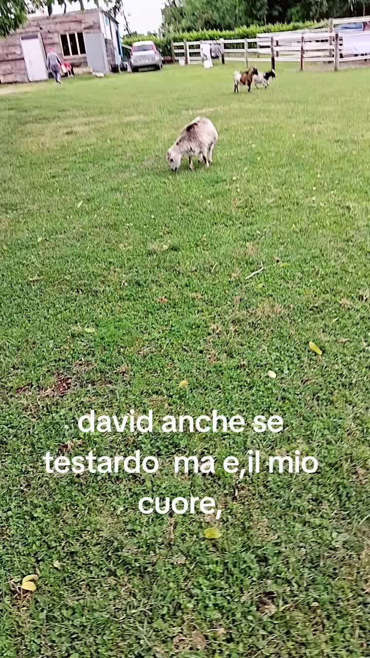 @Lidia