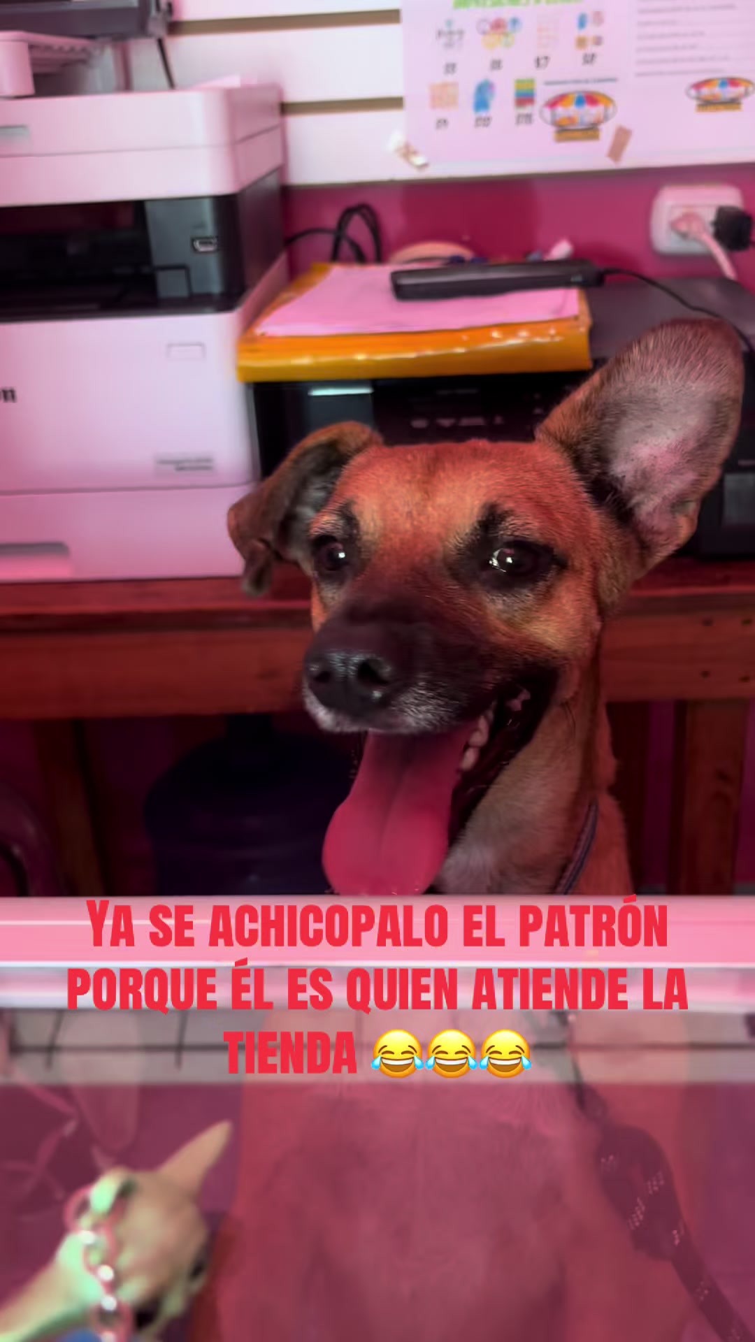 @Blanca Chavez