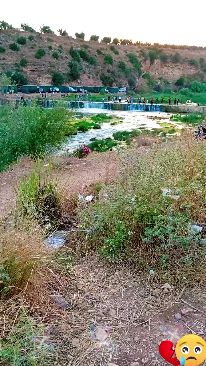 @رونيارا عفريني