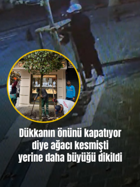@Mynet