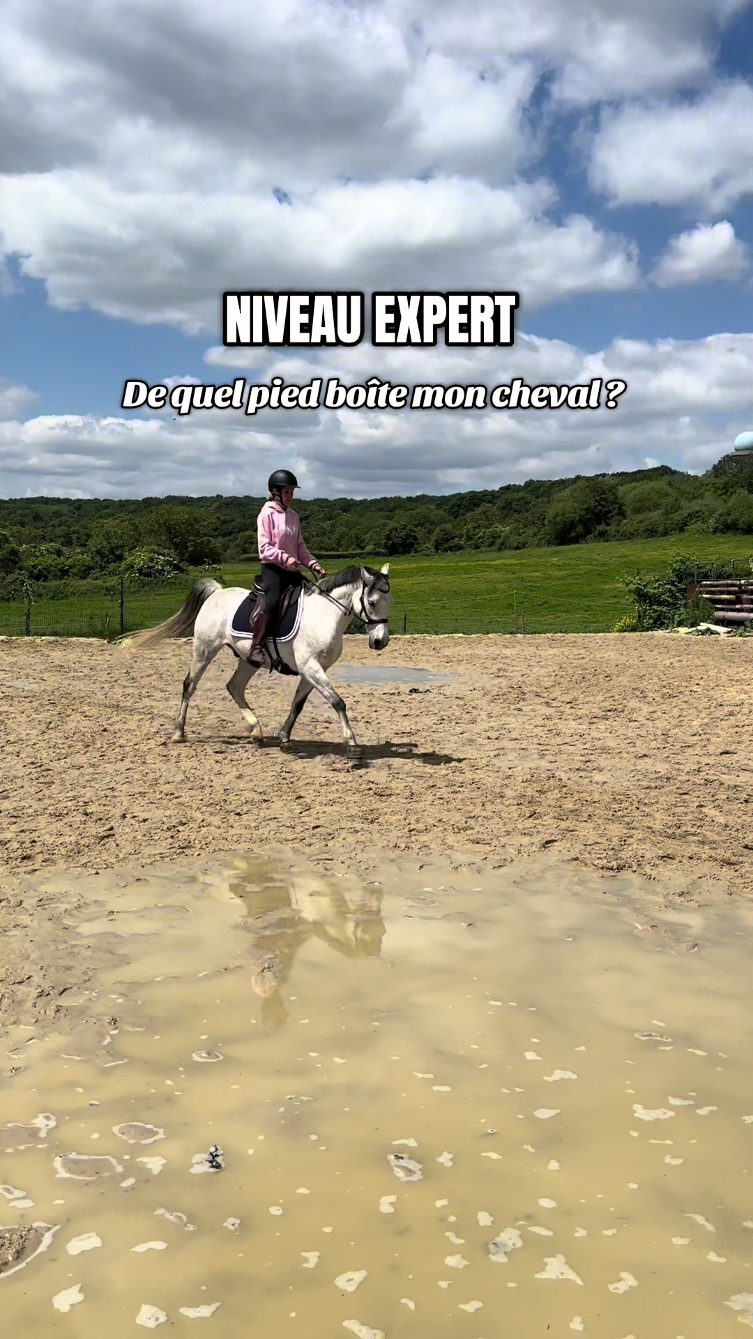 @Réflexions Equestres