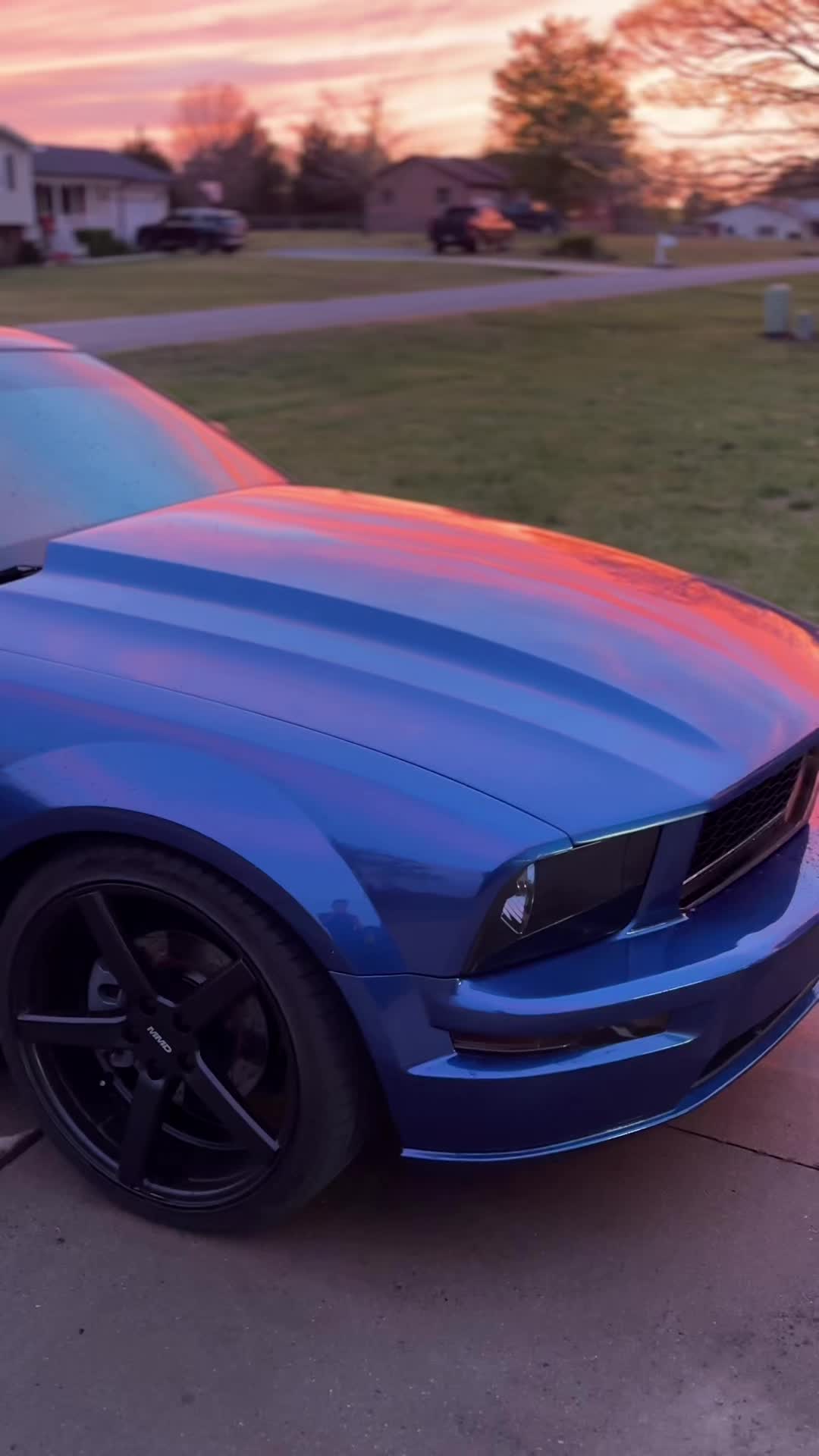 @Thatblutiful3v