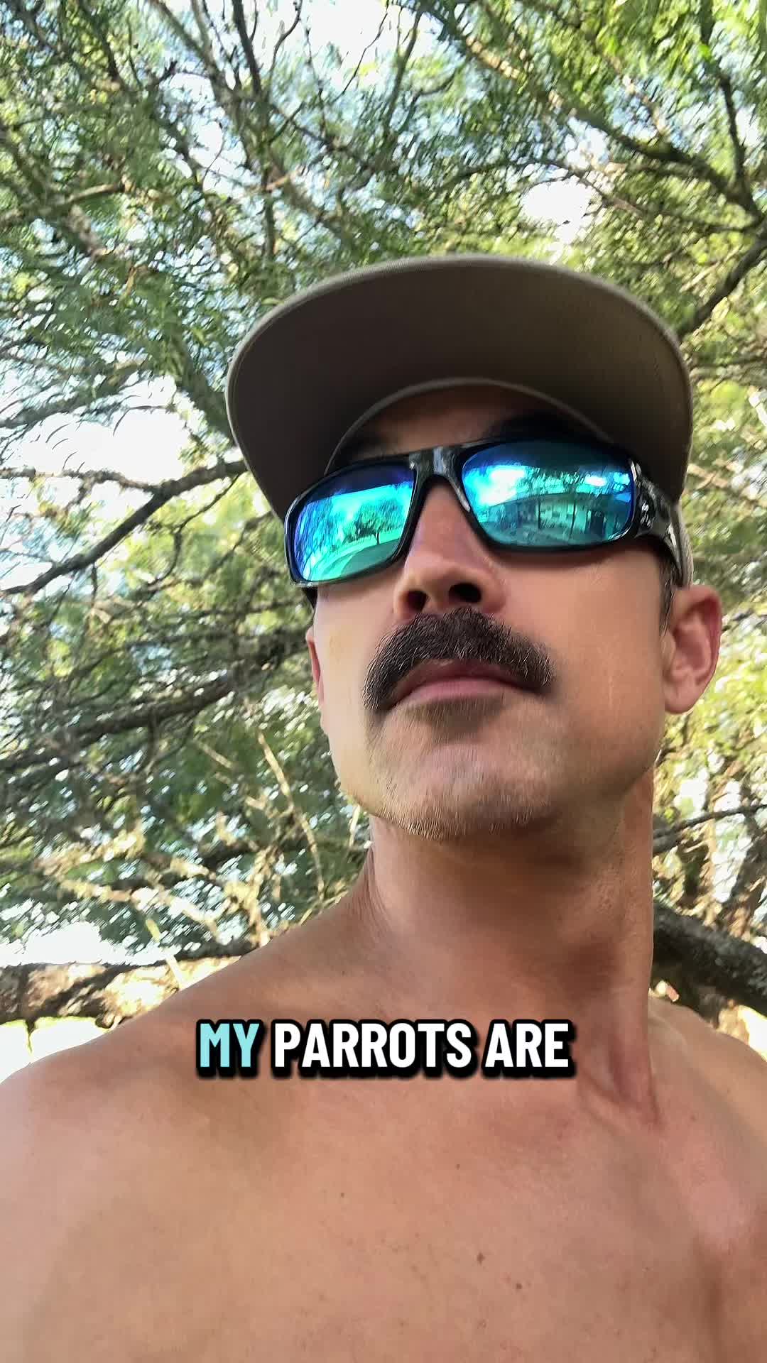 @The Gaysian cowboy