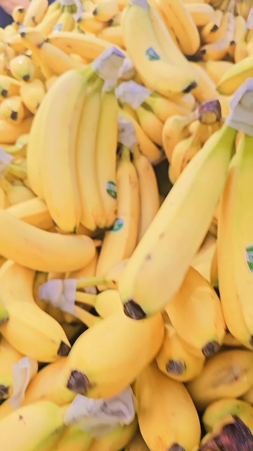 @متواضعة في فرنسا