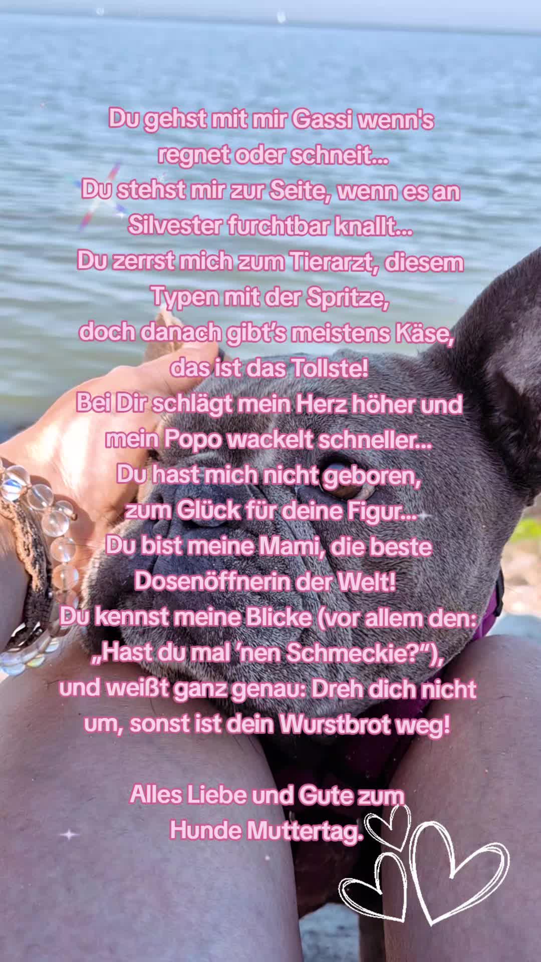 @FrenchieFrieda