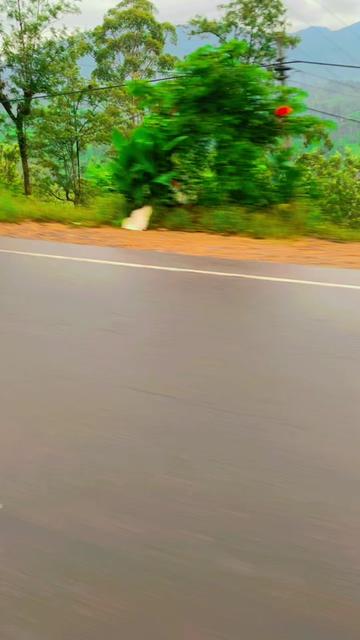 @❤️🤷♀️Rk yaalini ❤️🙋♀️