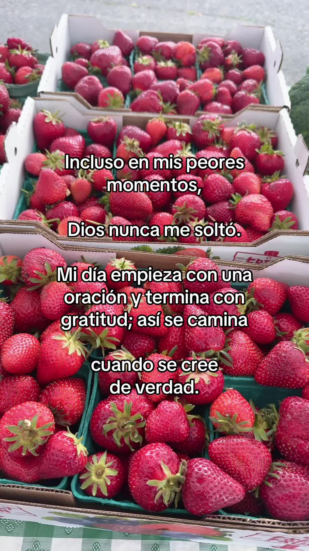 @pablocarbajal63