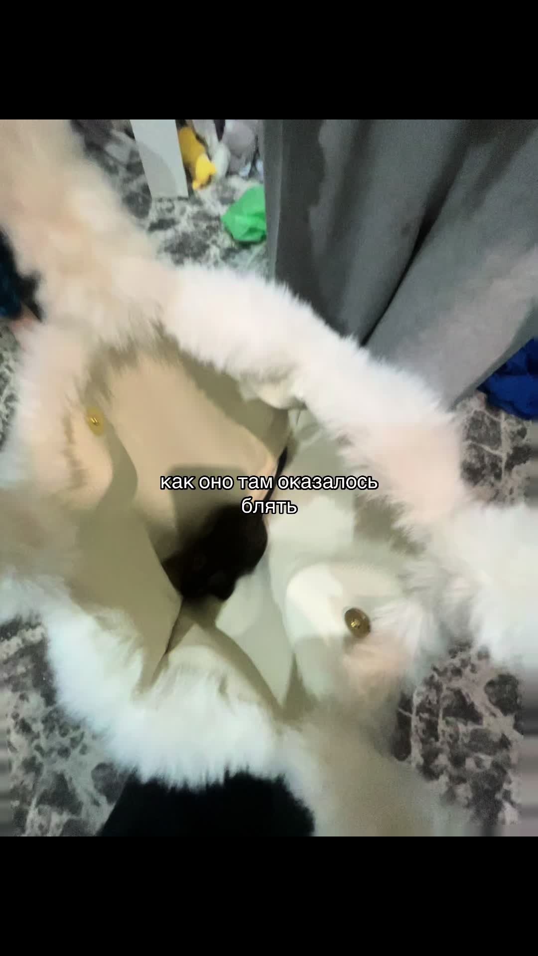 @к1тяра