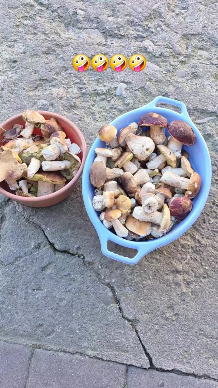 @Dᴏᴍɪɴ