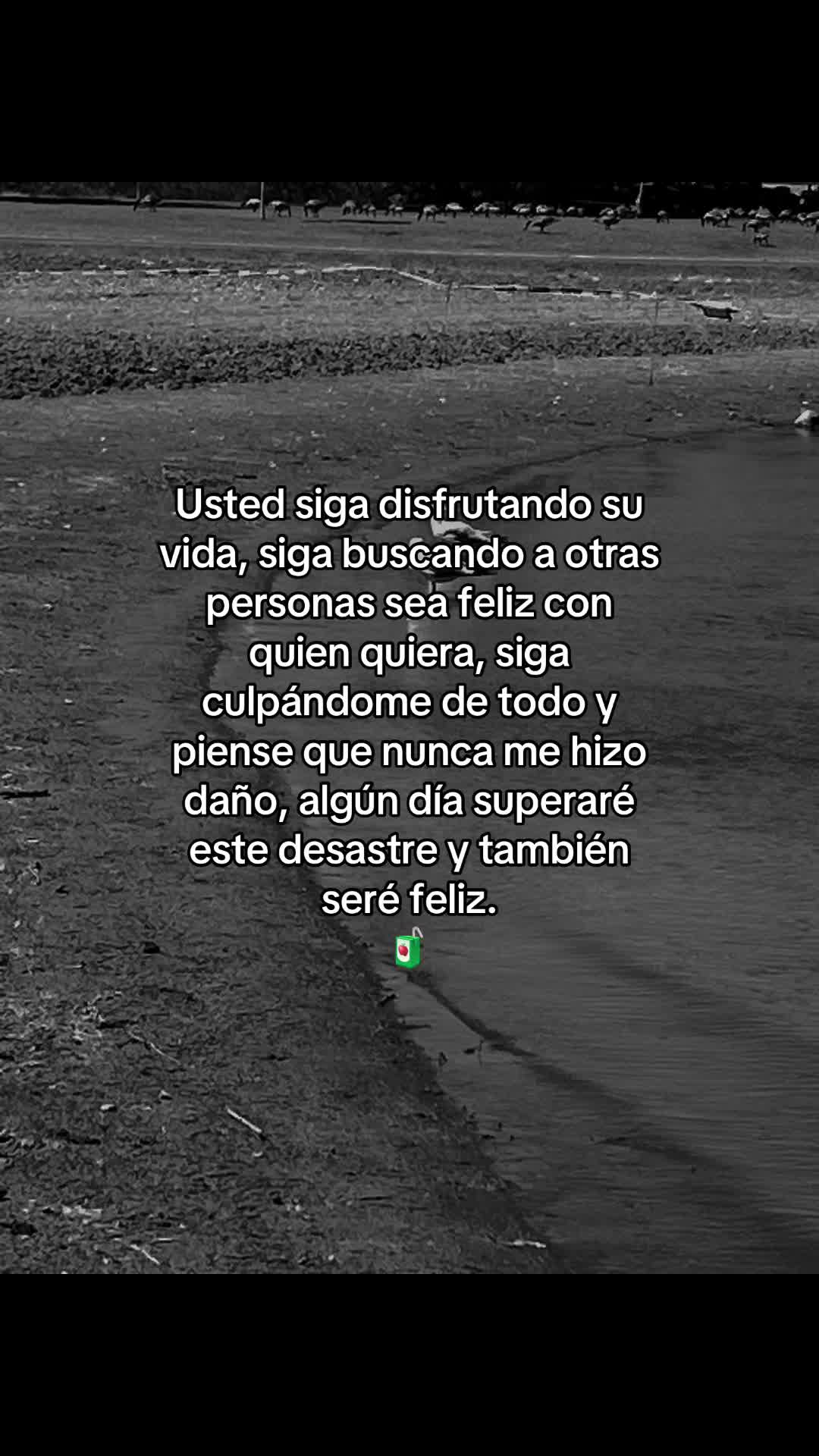 @🇬🇹 JOSE PATRON DE YAMI 🇲🇽