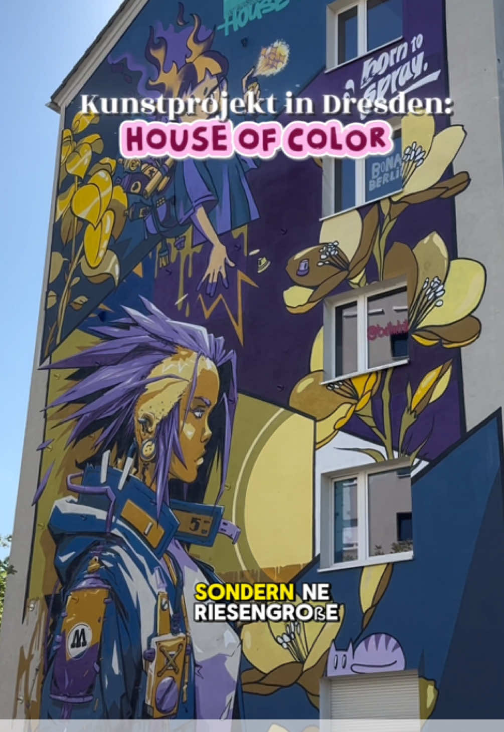 @solebtdresden
