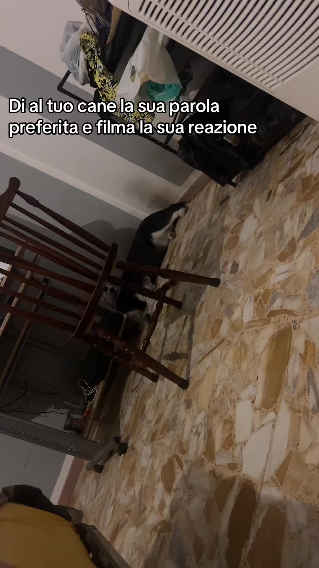 @Giorgia🌸