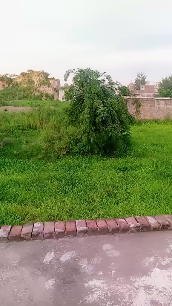 @wajid ali bop