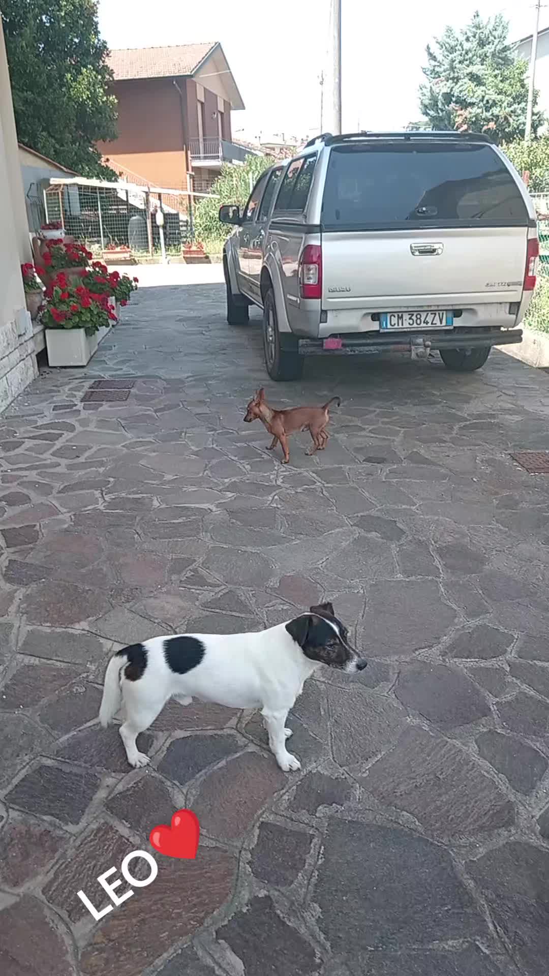 @PIERPAOLO e LEO