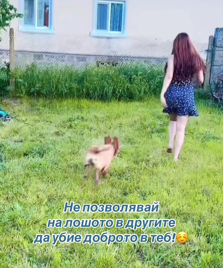 @❀ Naseto Ivanova ❀