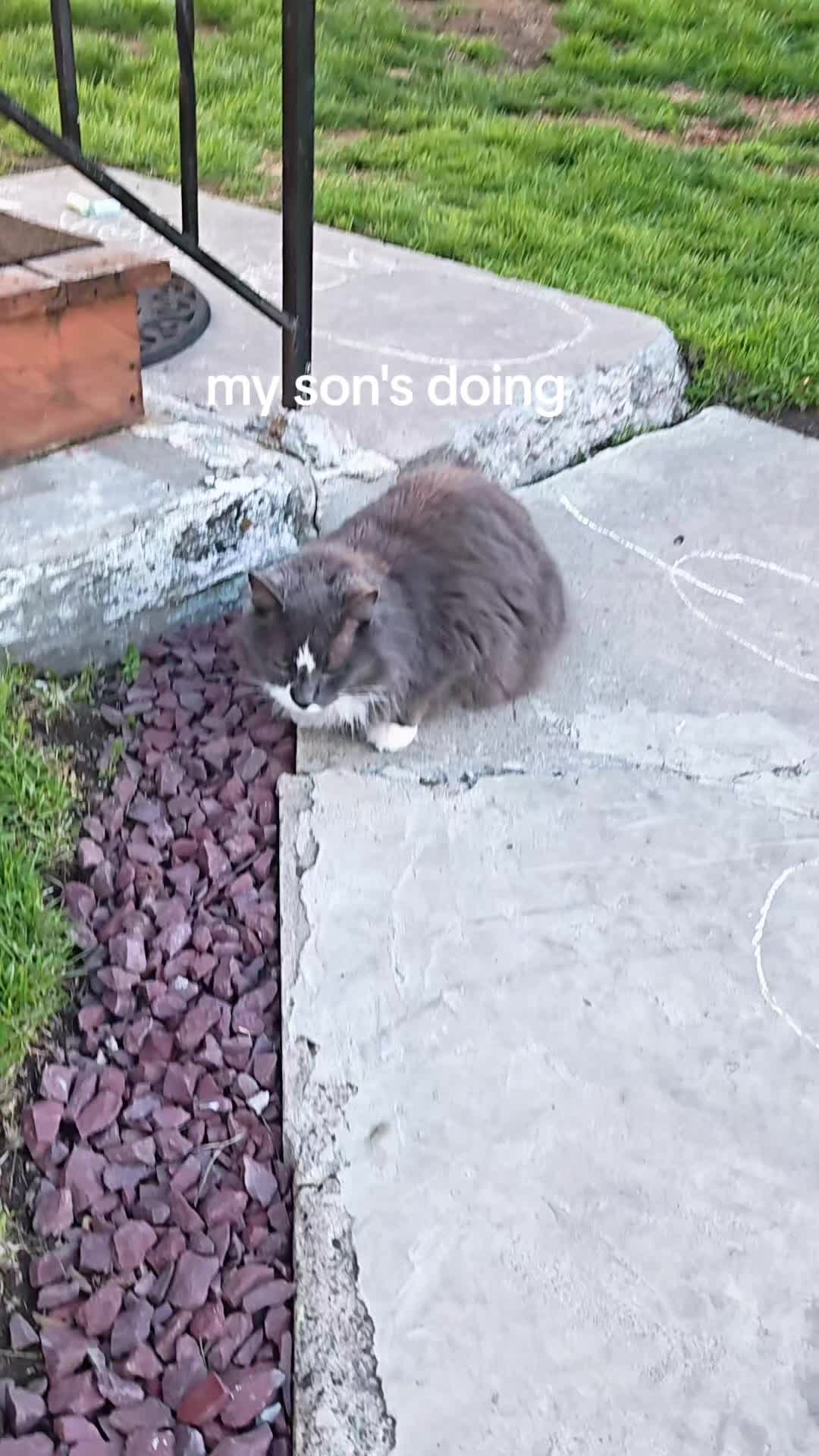 @💫sabrina