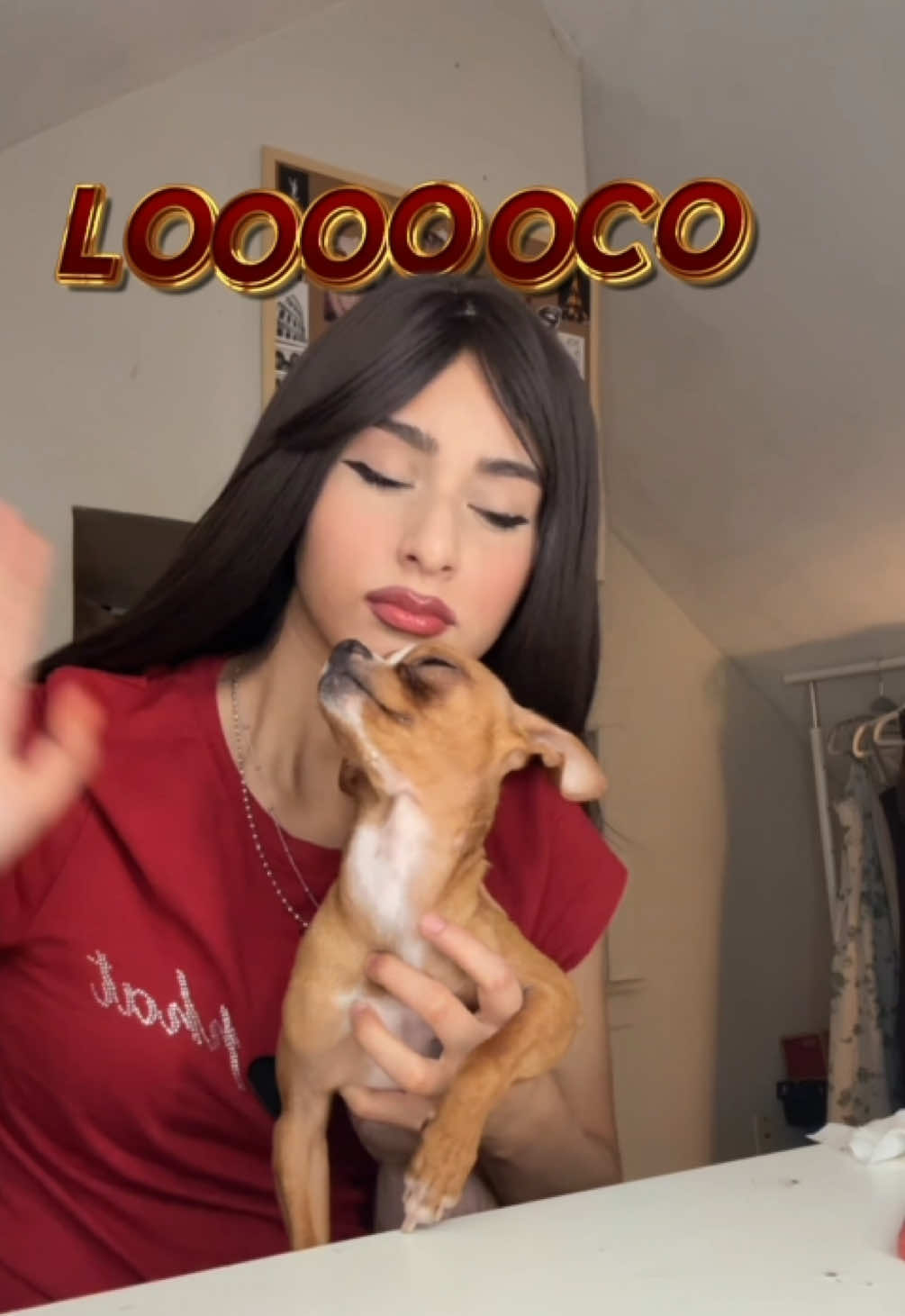 @giselle