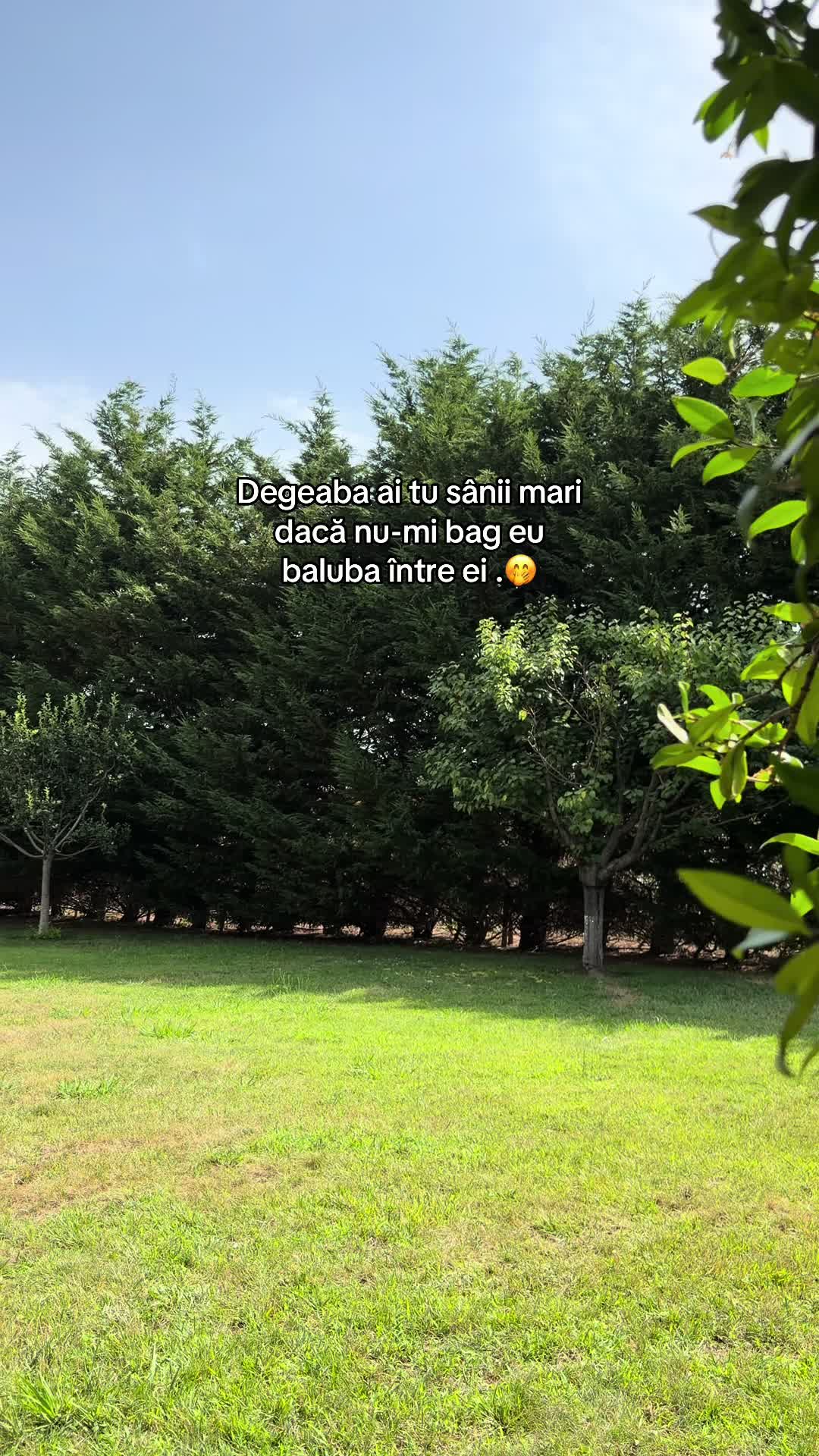 @Mădălin🖤