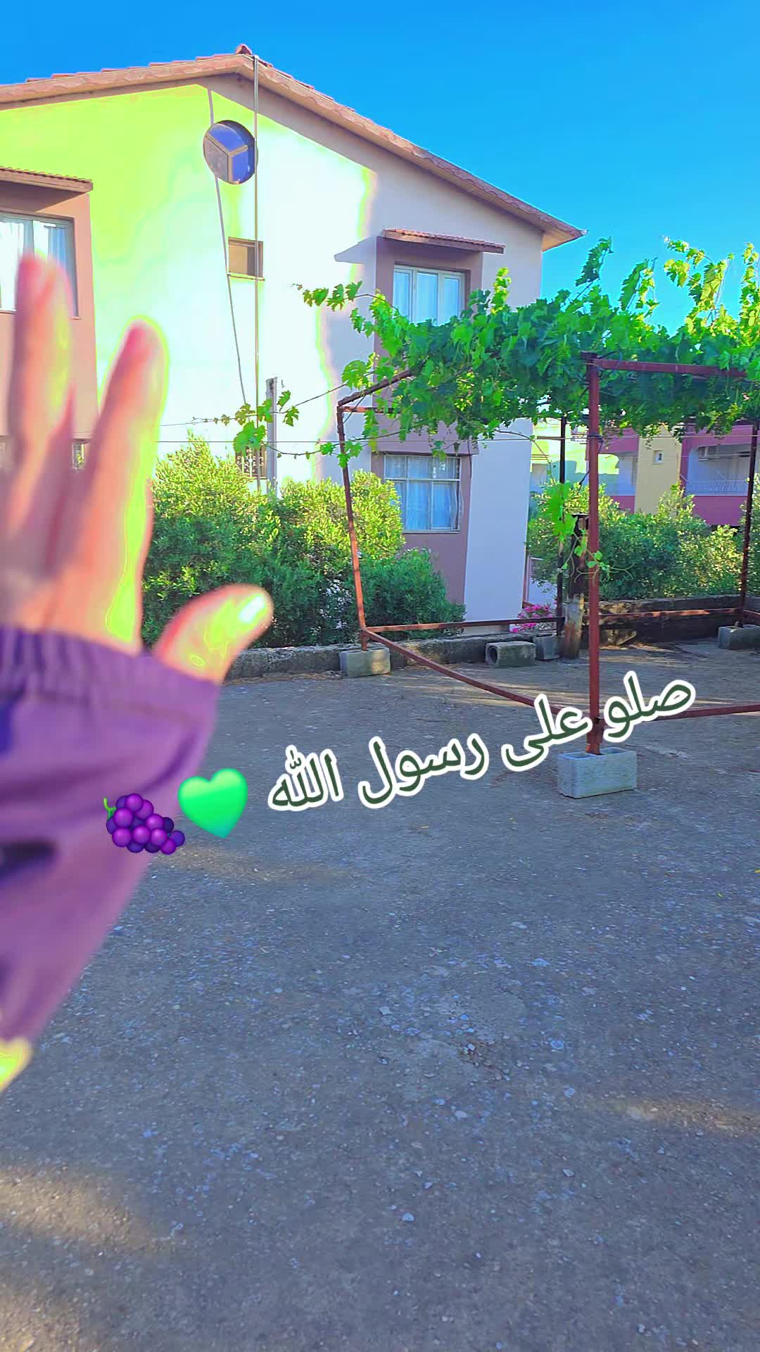 @🌸🌱عائلة لموشي lmosh🌱🌸