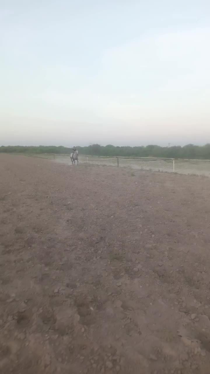 @🇲🇽EL CHAMÁN 🏇 🇲🇽
