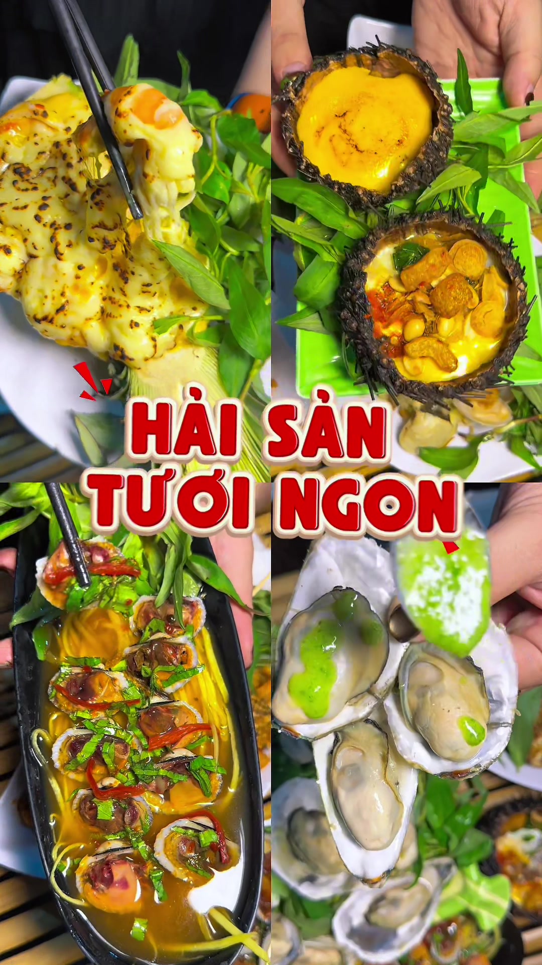 @ĐI Đ&Acirc;U CHƠI ĂN G&Igrave; ✌️