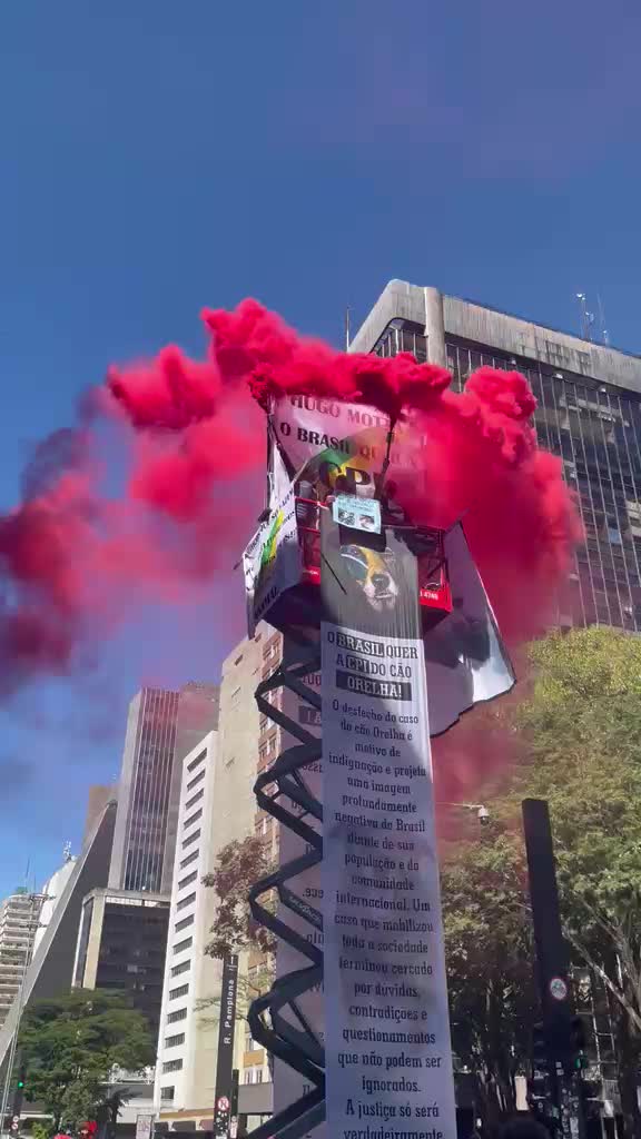 @Resist&ecirc;ncia Felina 🇧🇷