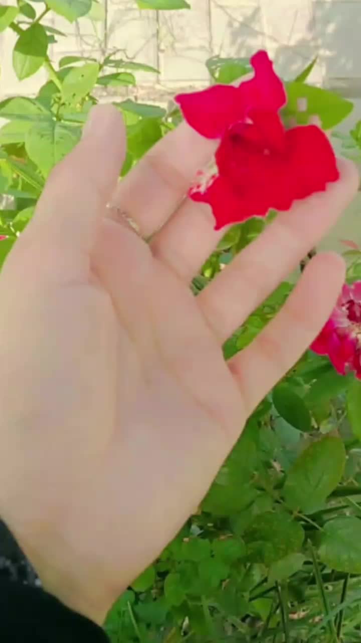 @ℳ𝓪𝓱𝓲..♡56