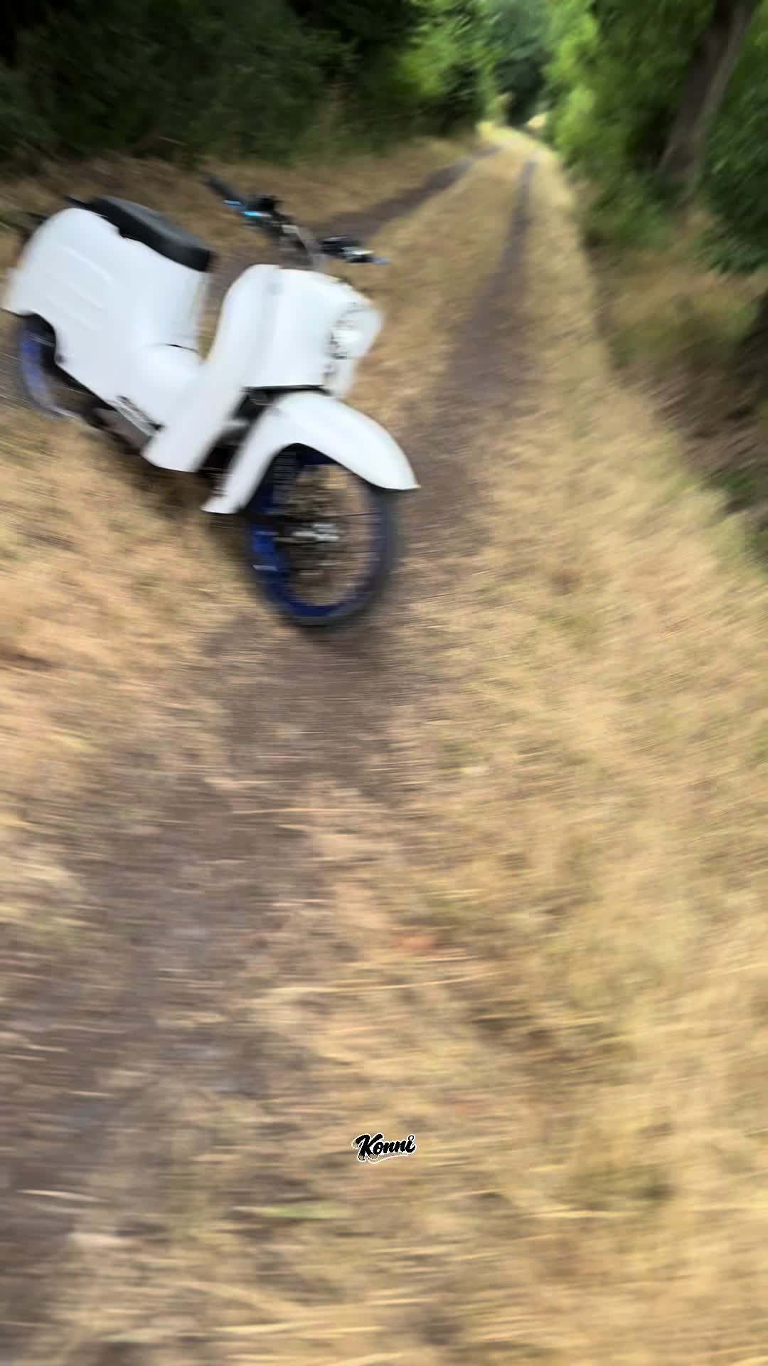 @schwalben.konrad