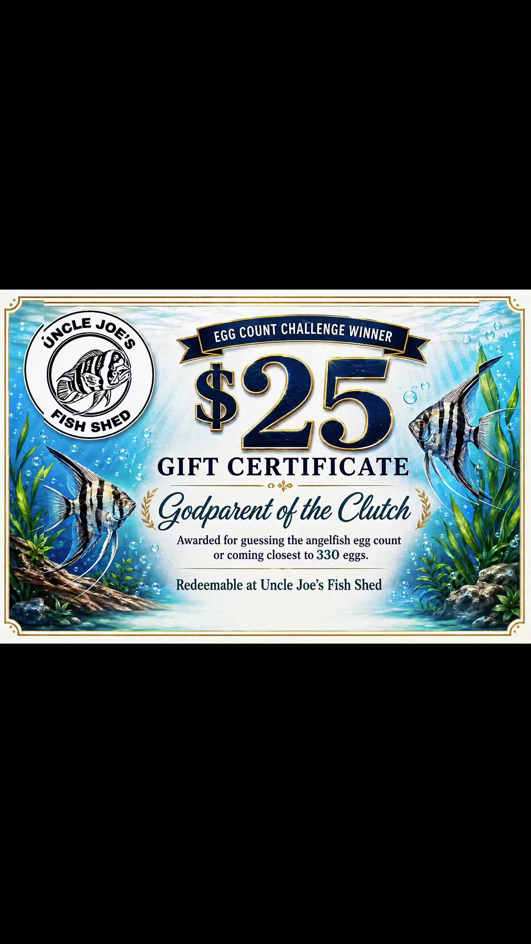 @aquaintuitions