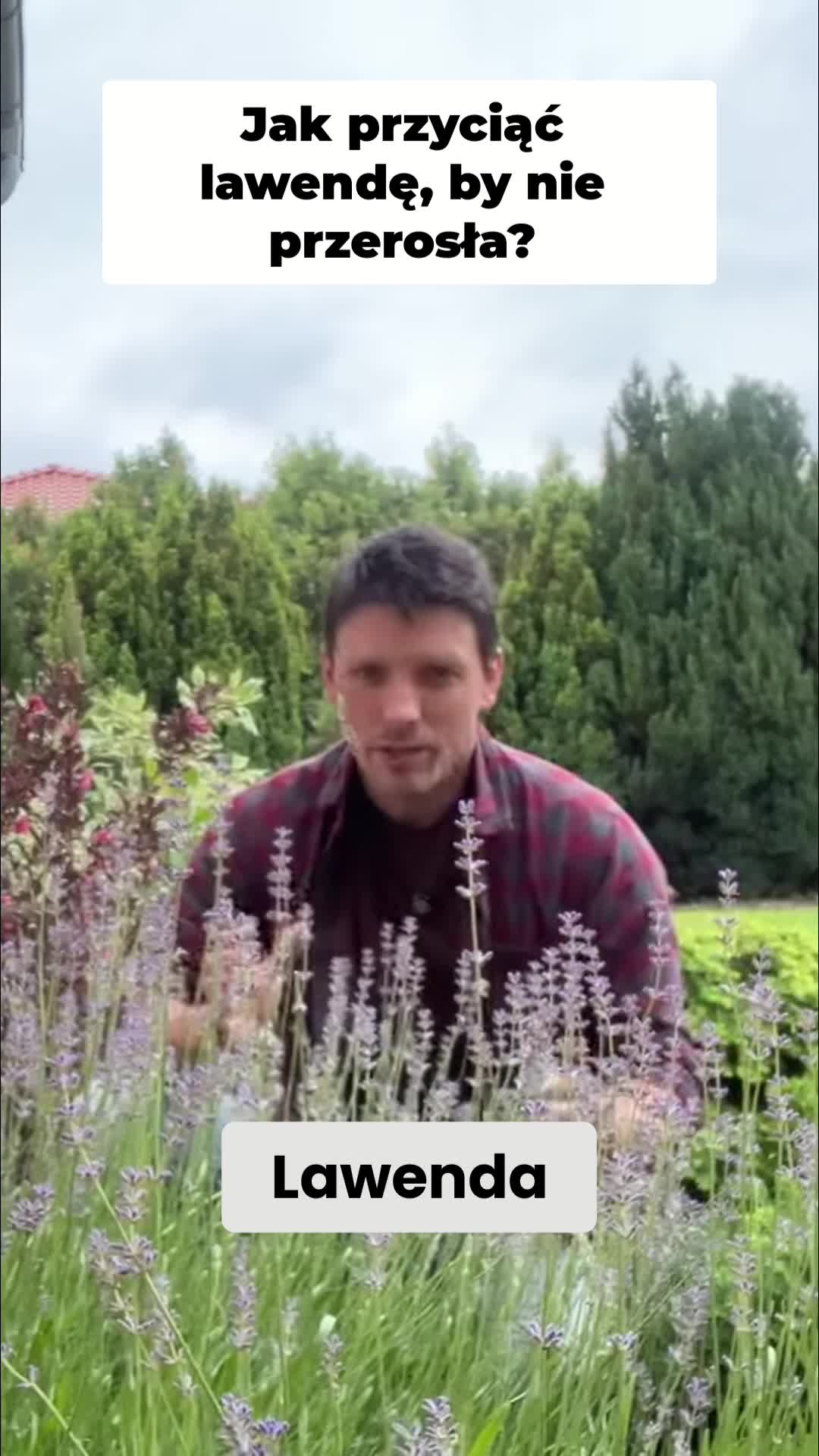 @Ogrodnik Doskonały