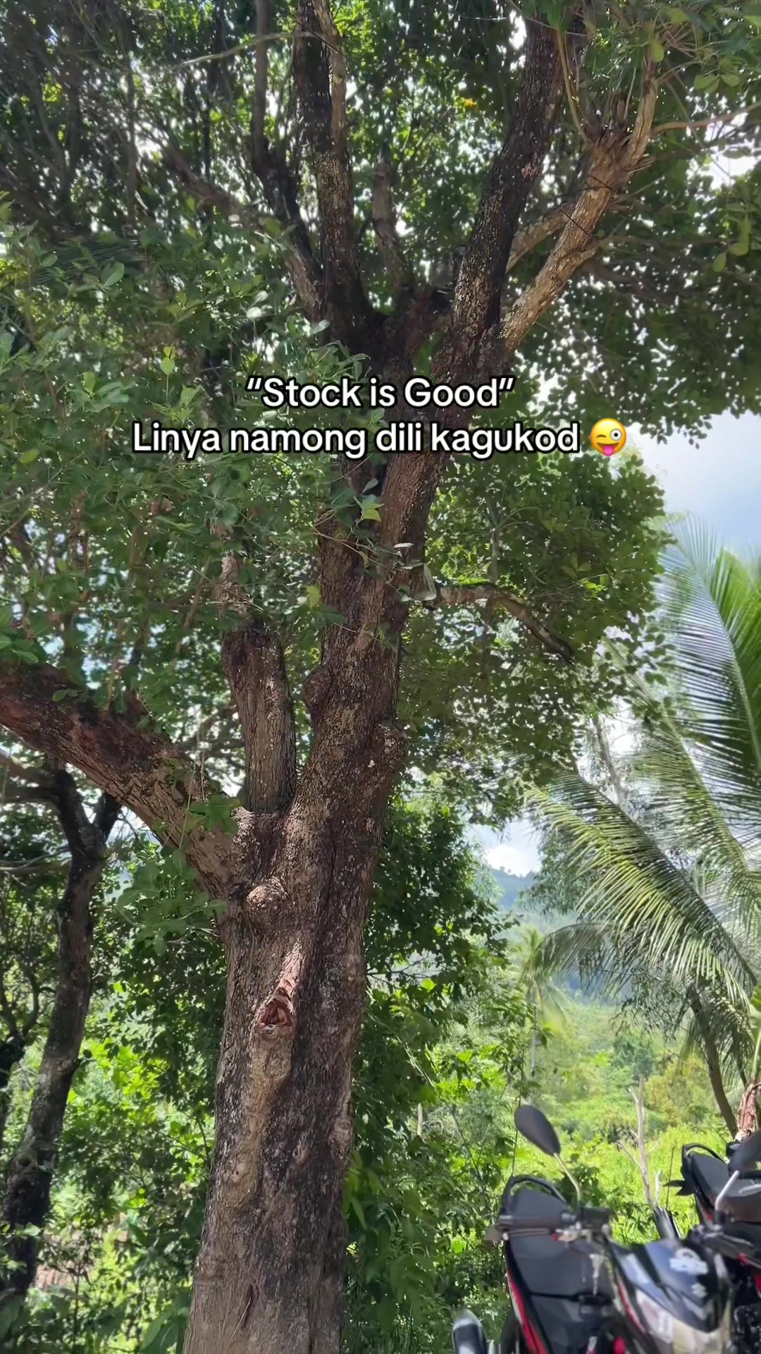 @Yam🍃