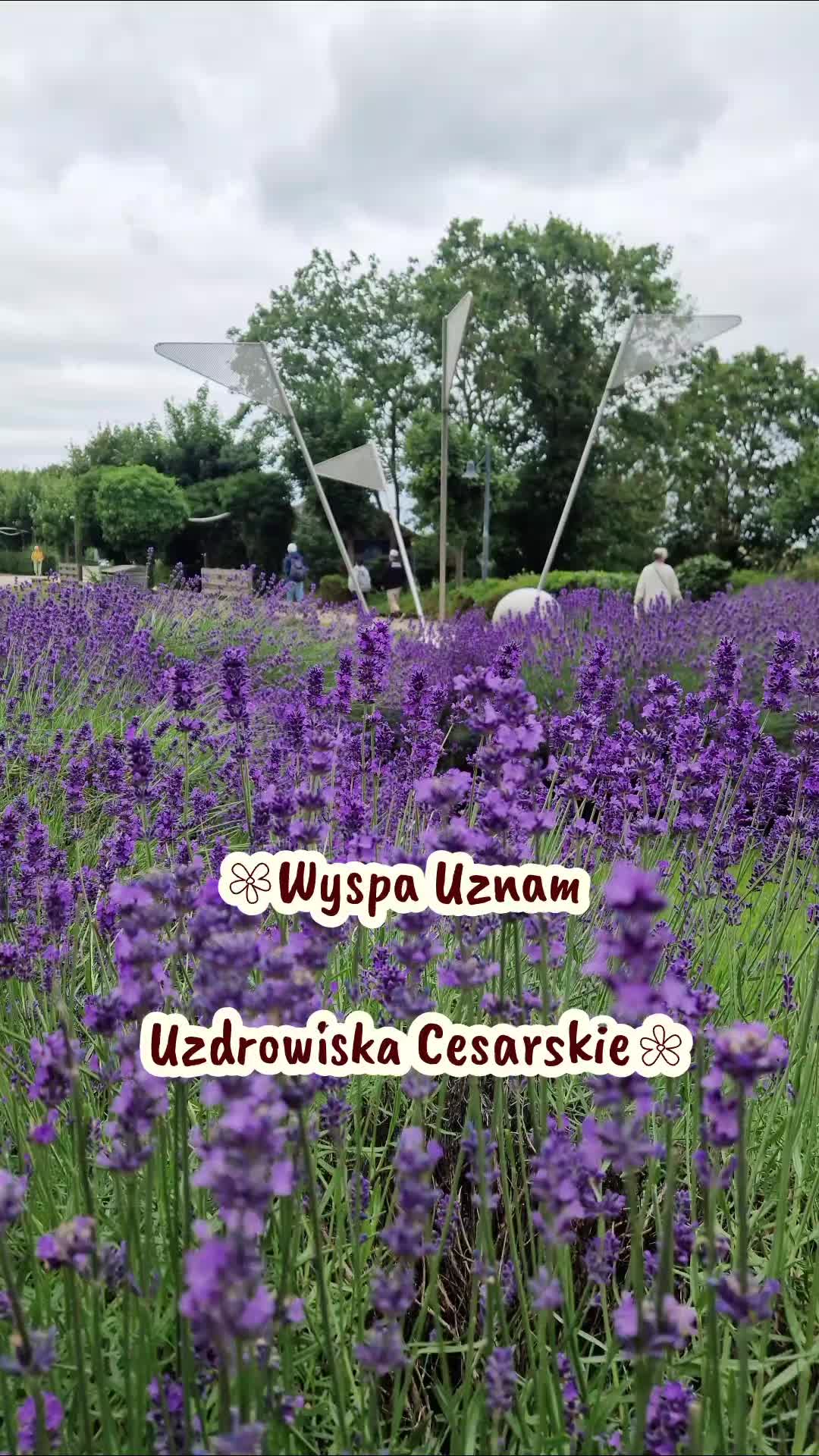 @niecodziennikpary.pl