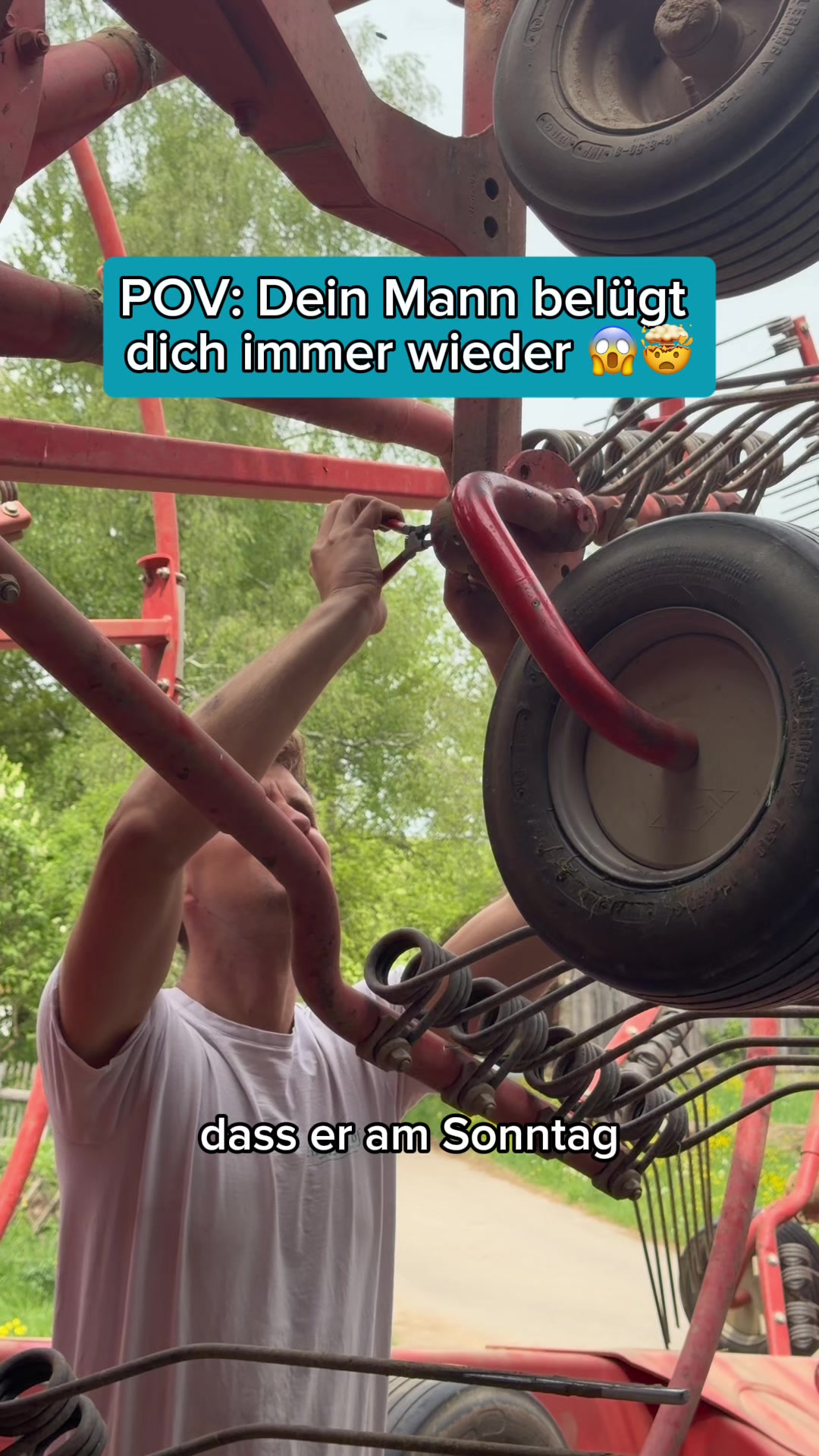 @Schwenks-Hofleben | SWR Heimat