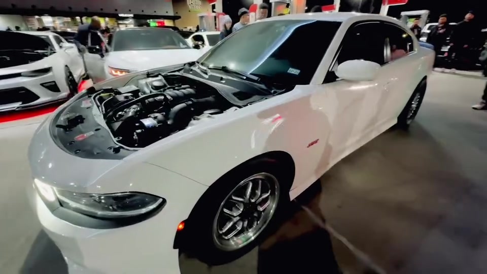 @Onefastscat