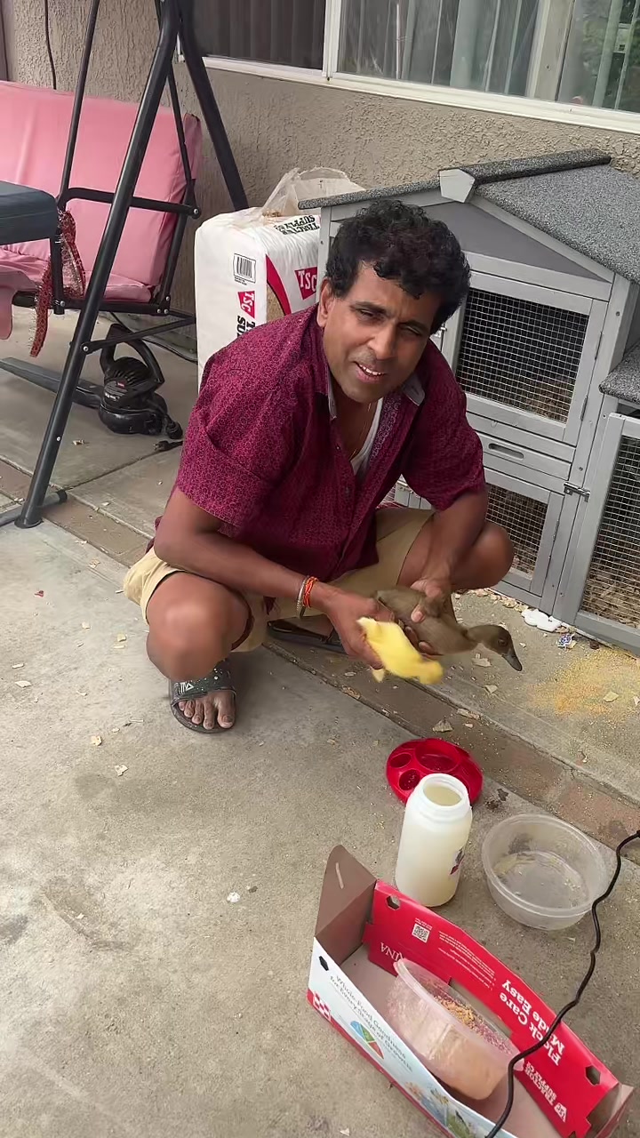 @Anjali