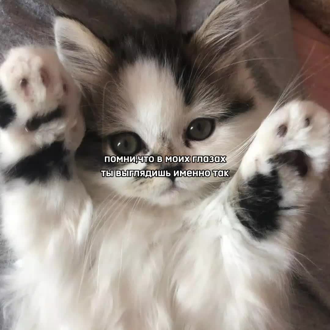 @ꜰᴇɴʏᴀ@
