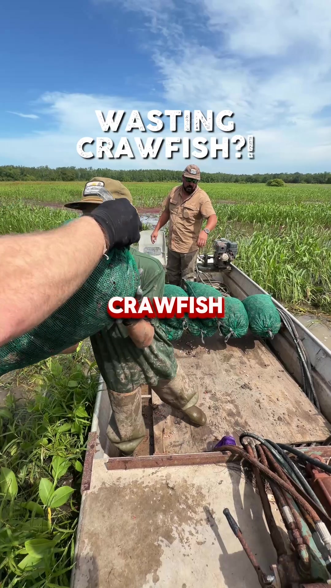 @louisianacrawfishco